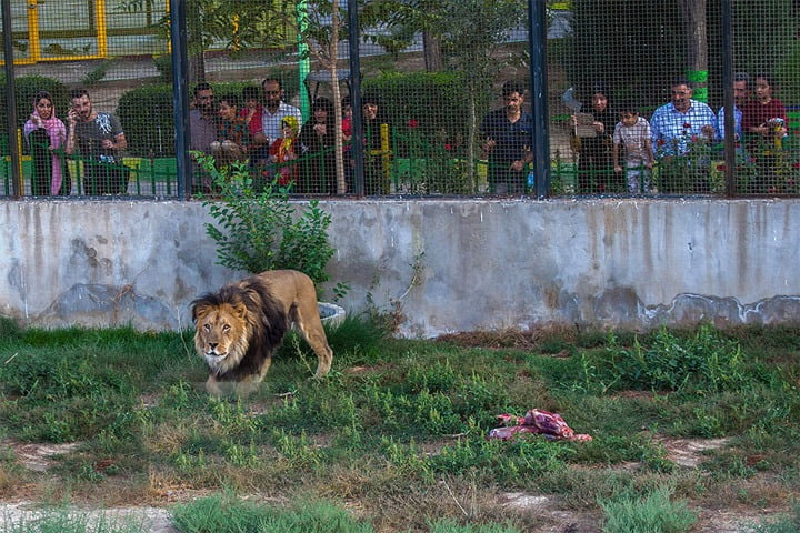 اراك (حمام الفصول الأربعة و قلعة الحاج وكيل و حديقة الحيوانات و الغابات و شلال المزرعة)