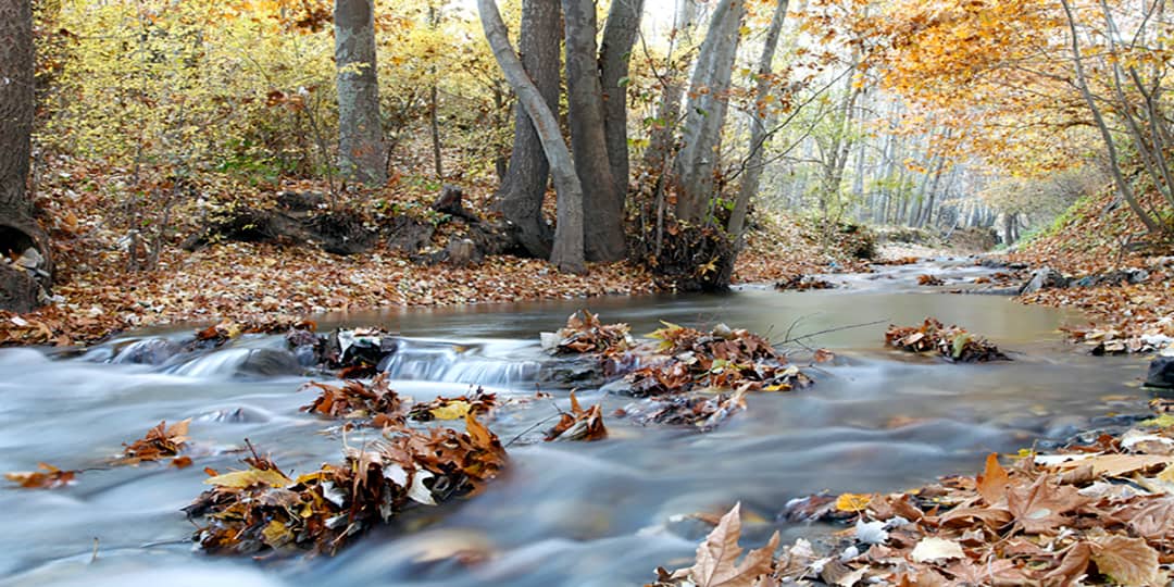 طرقبه (مطعم تشریفات و ترفیهات طرقبه و نهر طرقبه و حدیقة غابة وکیل آباد و منتزه کمر مقبوله)
