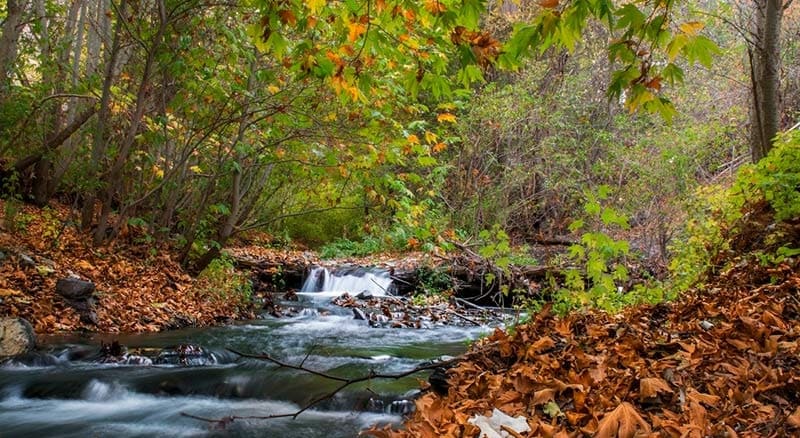 طرقبه (مطعم تشریفات و ترفیهات طرقبه و نهر طرقبه و حدیقة غابة وکیل آباد و منتزه کمر مقبوله)