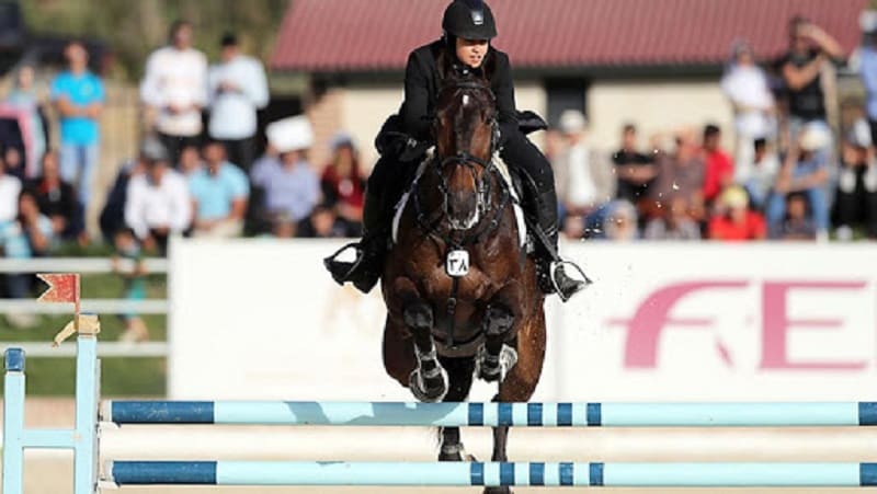 طرقبه (مطعم تشریفات و ترفیهات طرقبه و نهر طرقبه و حدیقة غابة وکیل آباد و منتزه کمر مقبوله)