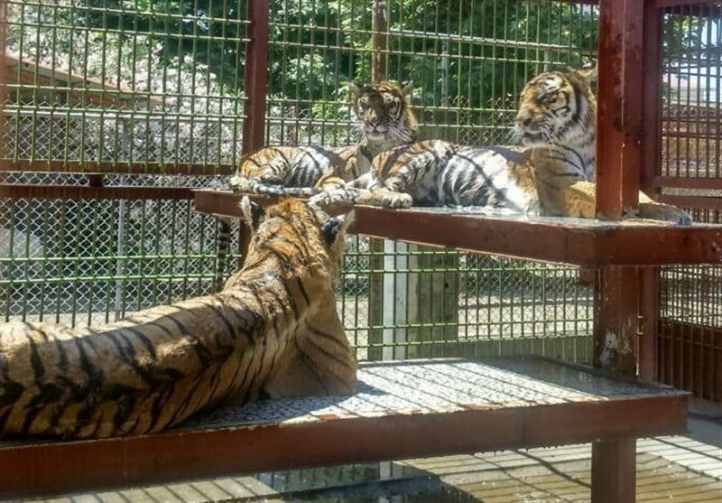 بابلسر (الامام زاده ابراهيم (ع) ، شلال شي إليم ، المنطقة الساحلية میرود ، حديقة حيوانات بابلسر)