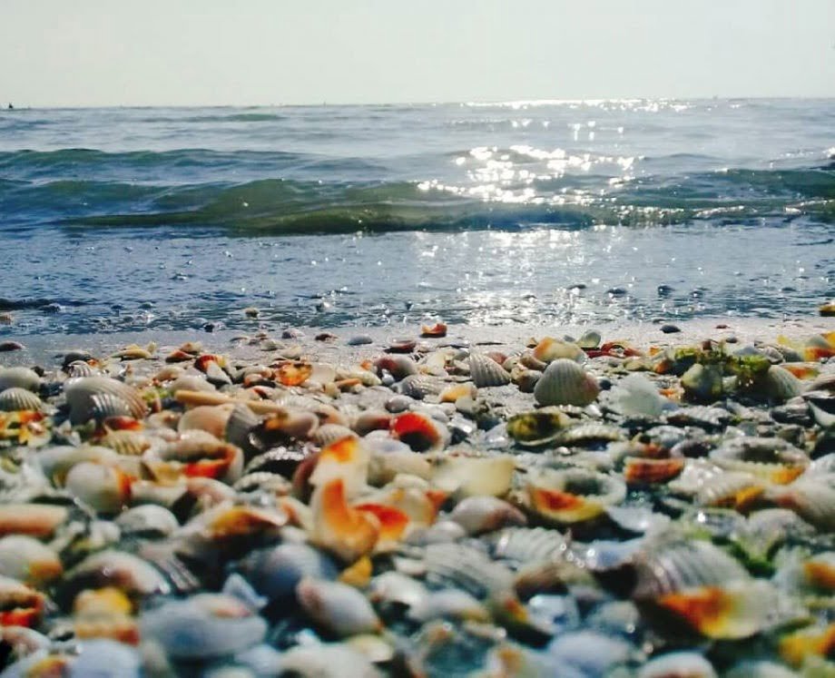 بابلسر (الامام زاده ابراهيم (ع) ، شلال شي إليم ، المنطقة الساحلية میرود ، حديقة حيوانات بابلسر)