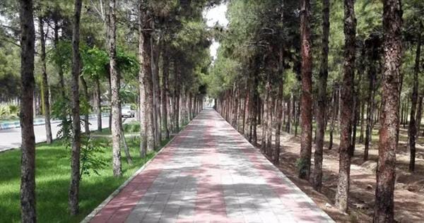 ساوه (إمام زادل سید اسحق ، بحیرة ساوه الاصطناعیة ، بام ساوه ، پارک چمران)