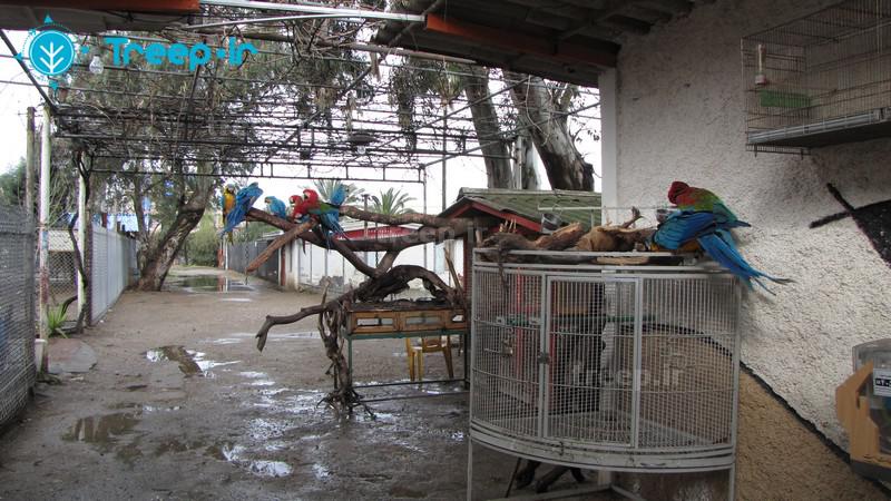 بابلسر (الامام زاده ابراهيم (ع) ، شلال شي إليم ، المنطقة الساحلية میرود ، حديقة حيوانات بابلسر)